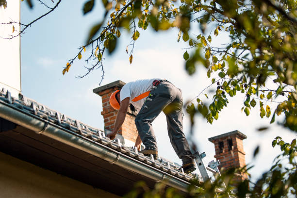 Best Residential Roofing Contractor  in Solomon, KS